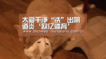 太爱干净“洗”出阴道炎‘欧亿体育’(图2) 欧亿体育