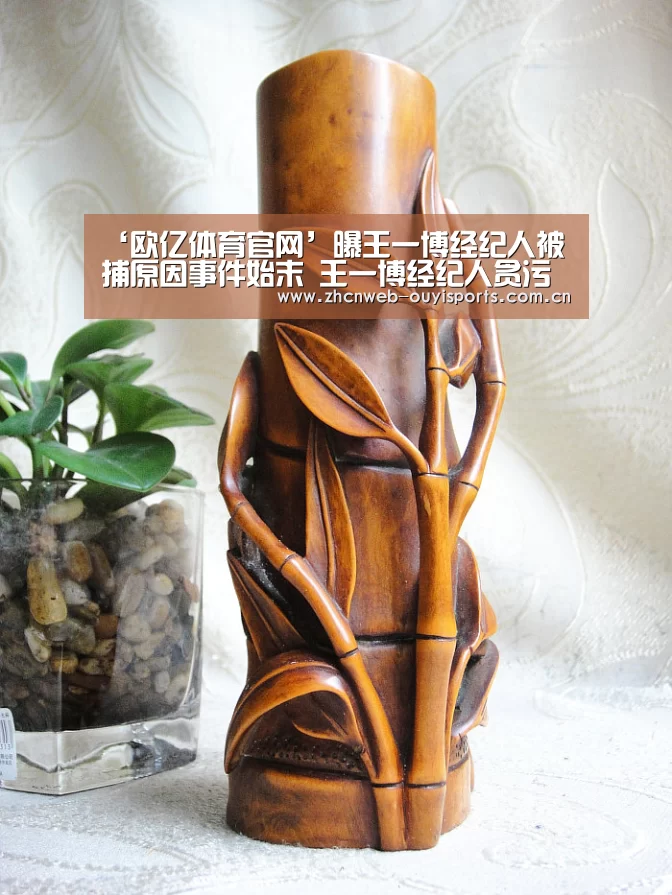 ‘欧亿体育官网’曝王一博经纪人被捕原因事件始末 王一博经纪人贪污是怎么回事(图2) 欧亿体育公司
