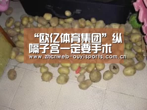 欧亿体育公司